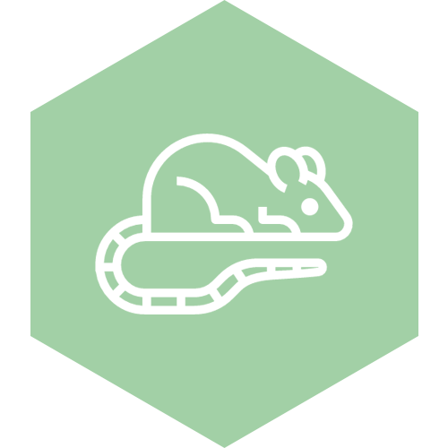 BPSA_e-learning_icons_animal