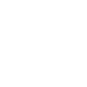 bpsa_simulator_icons_expert